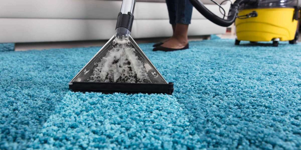 How Professional Carpet Cleaning Reduces Allergens in Your Home